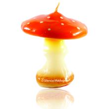 Amanita paddestoel