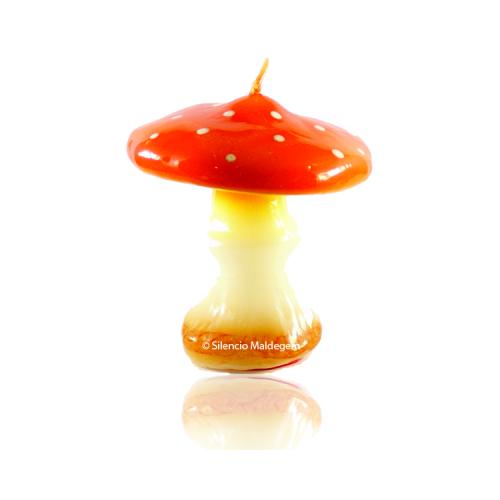 Amanita paddestoel